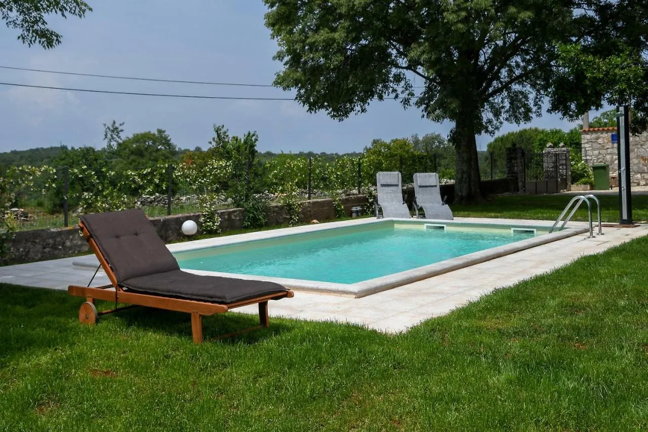 Villa Agnes Buje 0*,